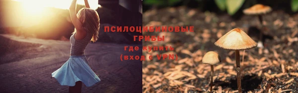 экстази Снежногорск