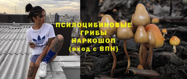 твердый Слюдянка