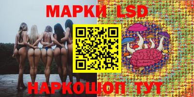 бошки Сланцы