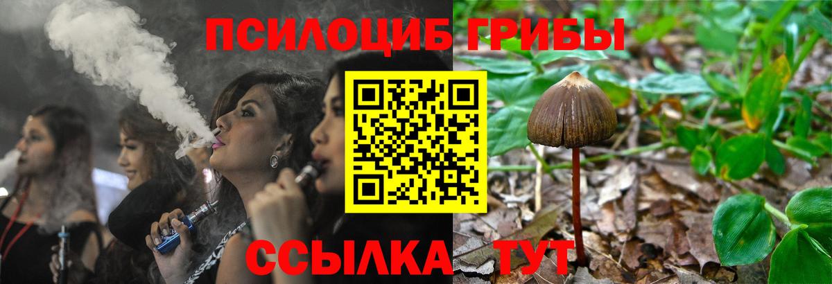 Псилоцибиновые грибы Psilocybe  Вход с VPN  Снежинск 